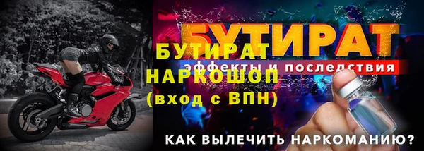 гидра Каменка